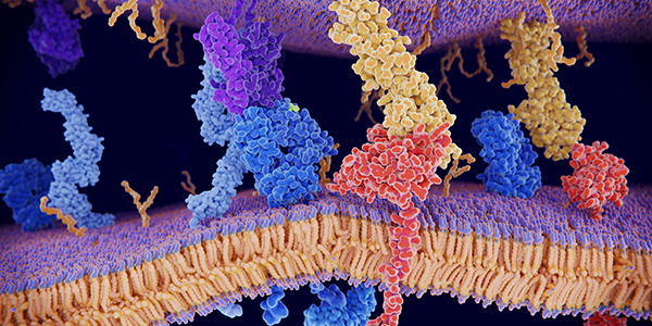 3D rendering of DNA