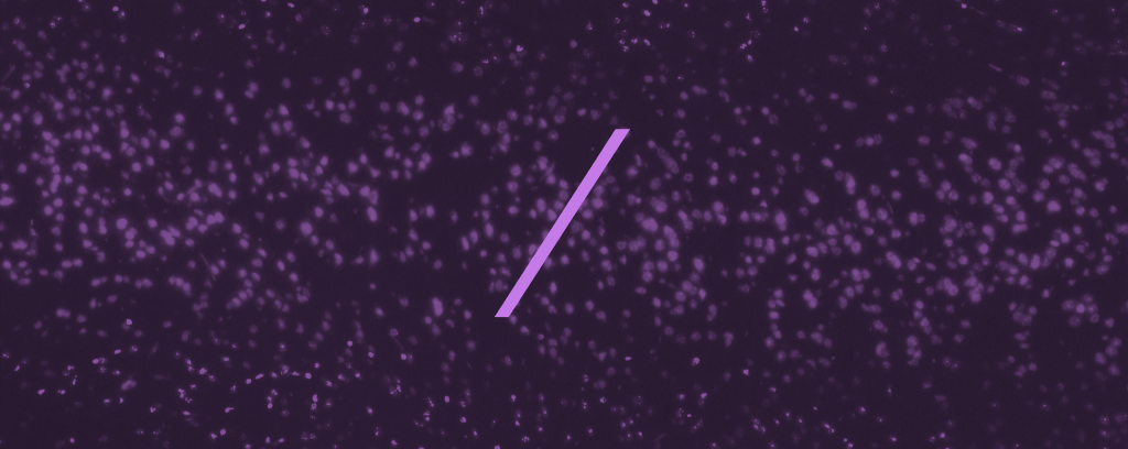 scipher medicine slash on purple background